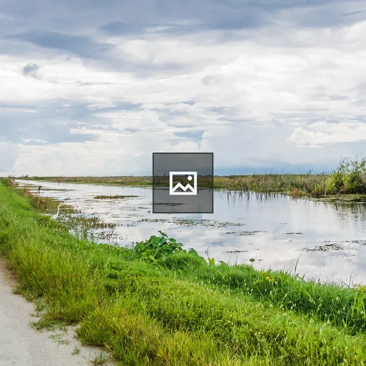 Dirt road through wetlands
