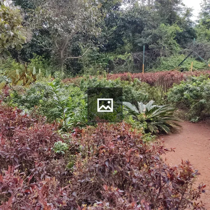 Hill Nature Garden
