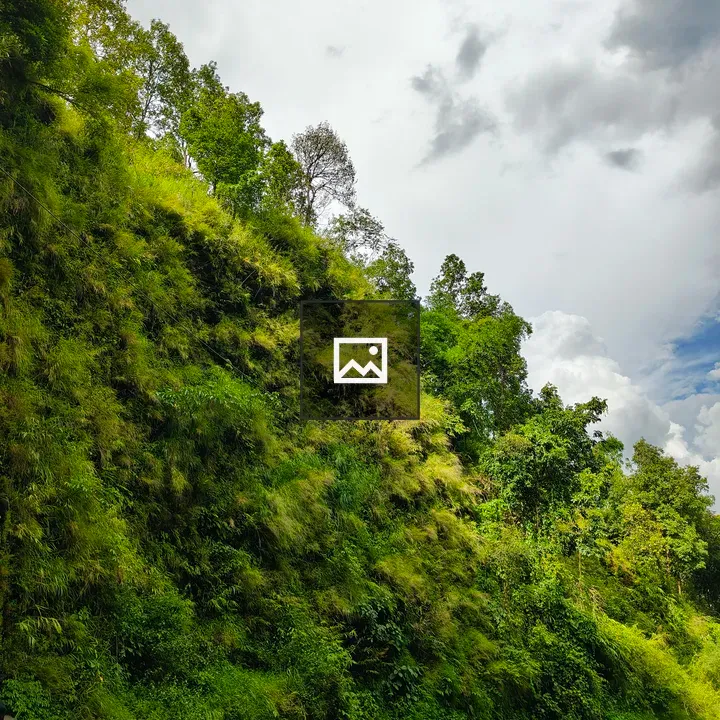Winding Road Along Green Hillside