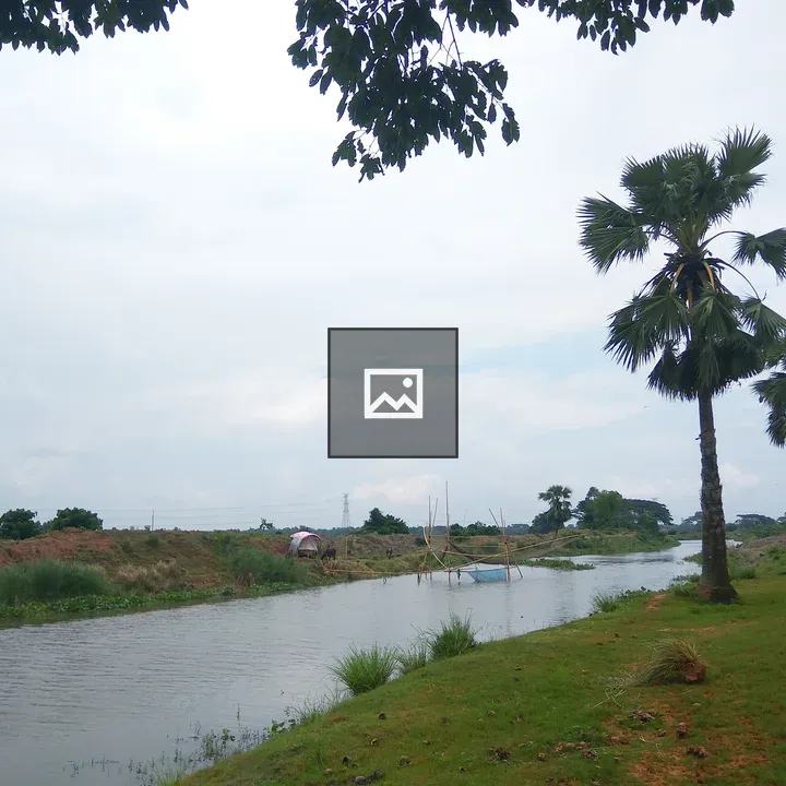 Rural Nature Scene with Water