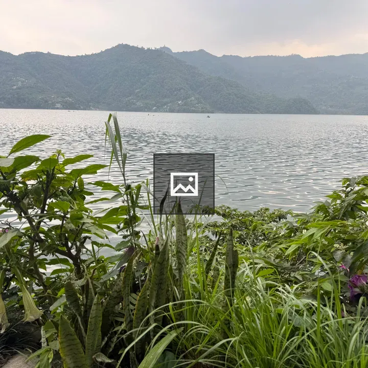 Lakeside with Lush Greenery