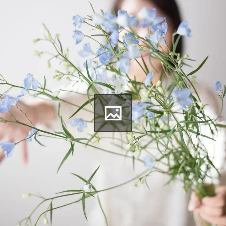 Delphinium Bouquet