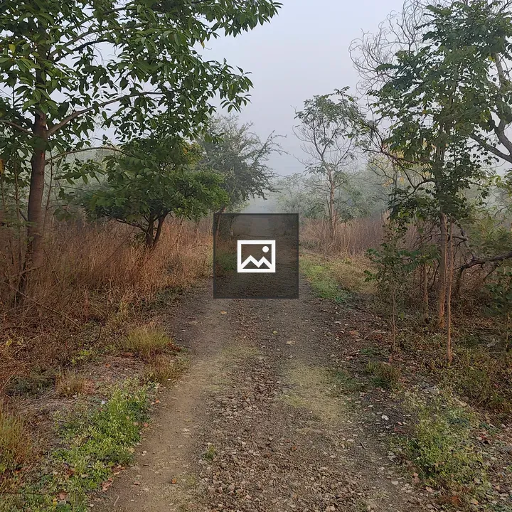 Mistical pathway through nature