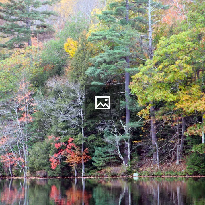 Autumn on Ausable River