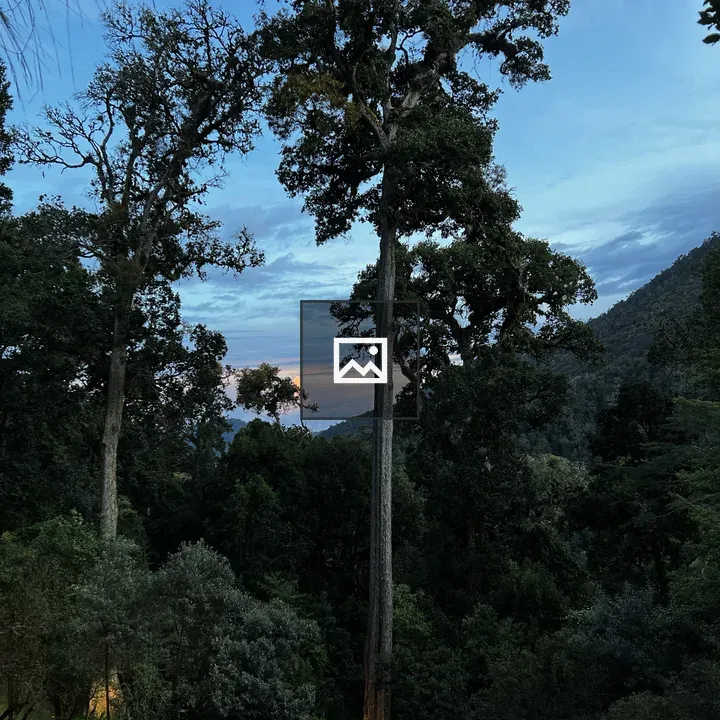 Rainforest in Costa Rica
