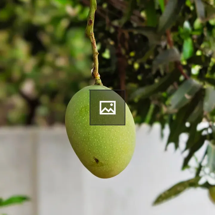 Green Mango Close-Up