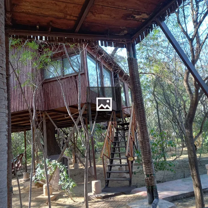 Treehouse-style Building in Forest