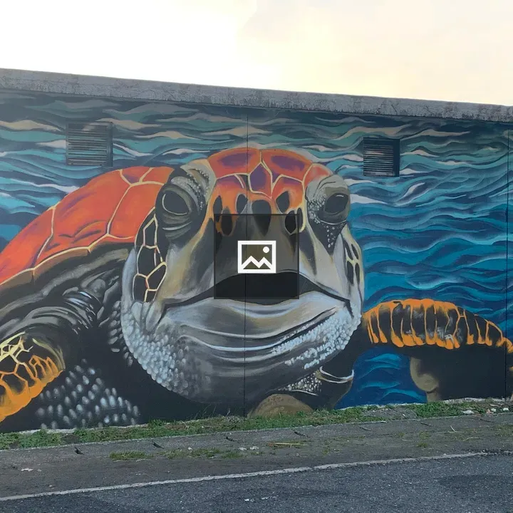 Giant sea turtle mural in Onjuku fishing port