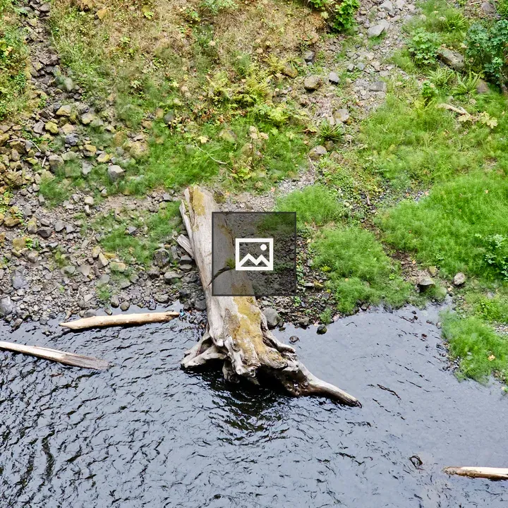 Fallen tree trunk by rocky creek