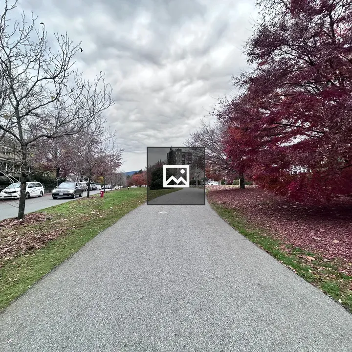 Park view with walking trails