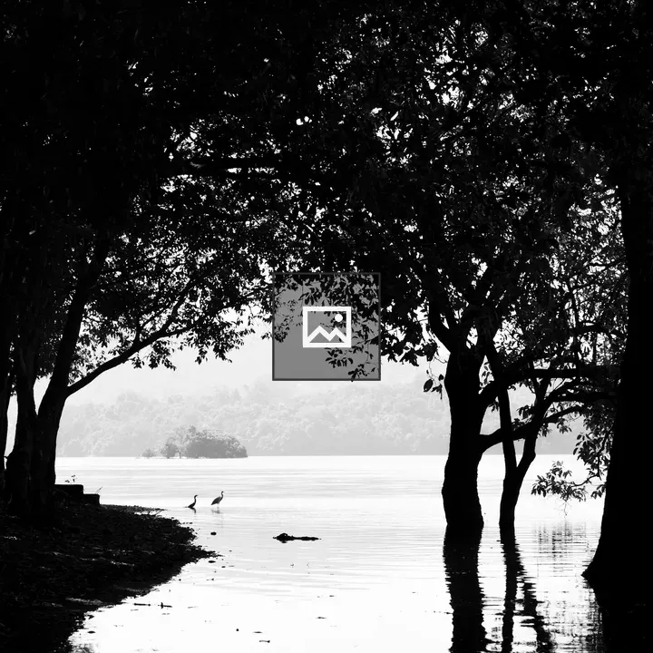 Lakeside Scene with Birds