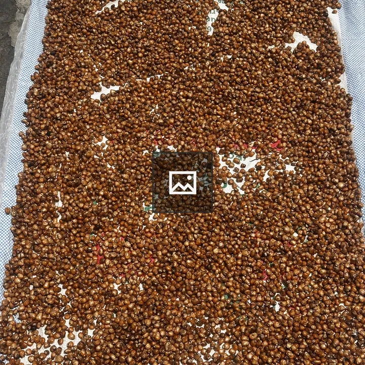 Roasted popcorn on white cloth
