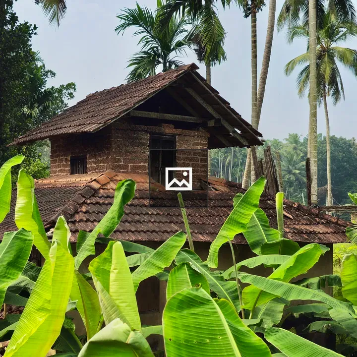 Old Laterite Building with Banana Plants