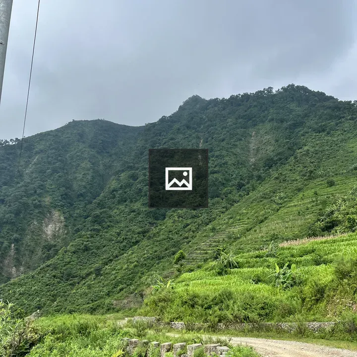 Winding Dirt Road Through Green Hills