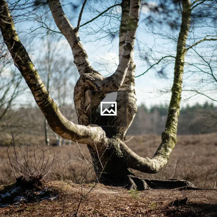 A Complicated Tree