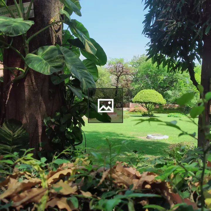 Park Scene with Tree and Grass