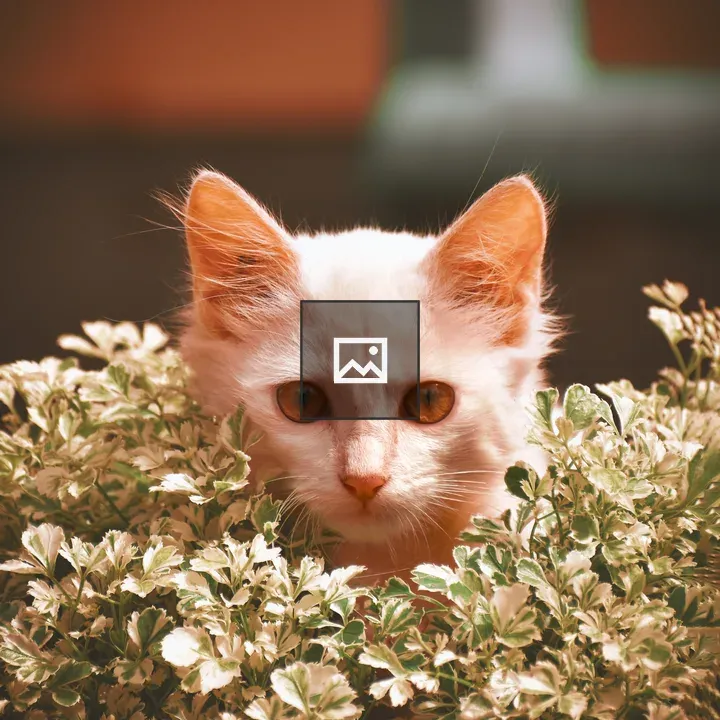 White cat behind a flower pot