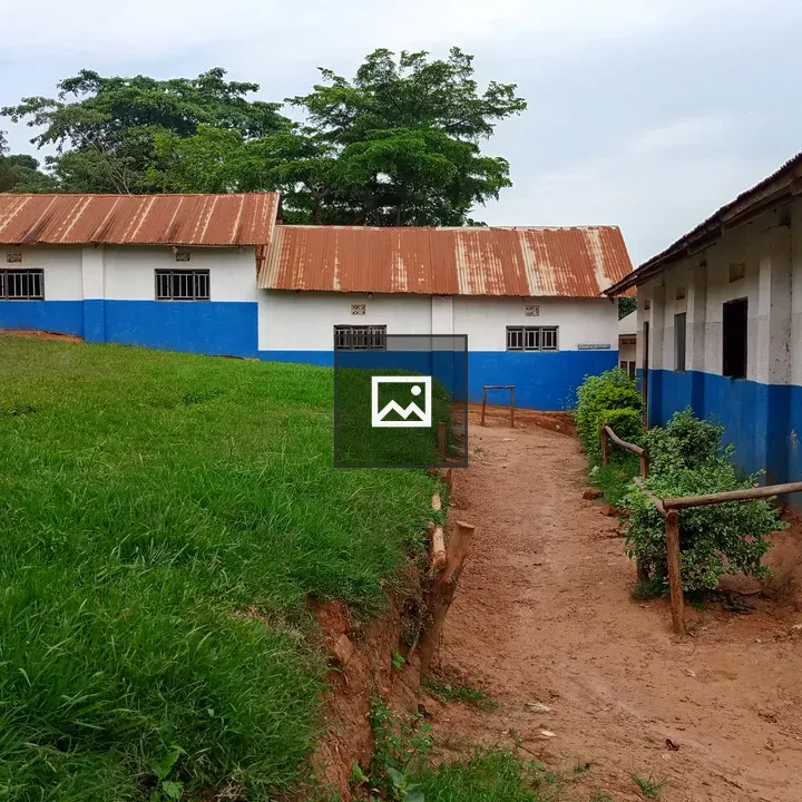 School buildings