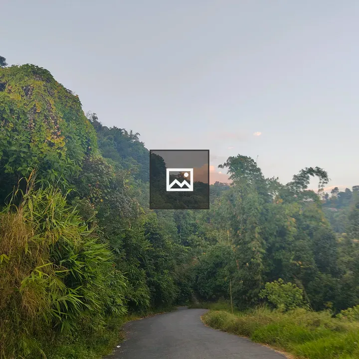 Winding road through lush green landscape