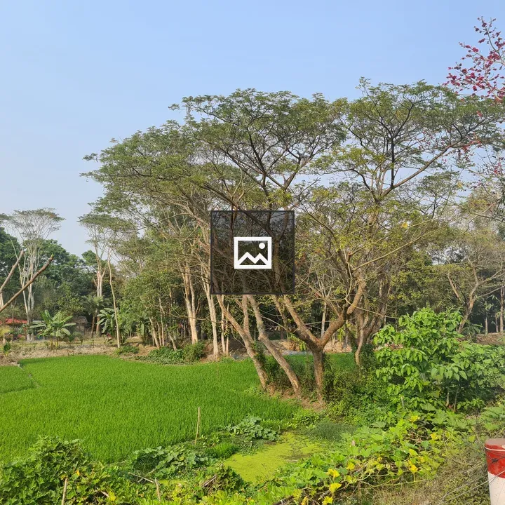 Crops in a Field