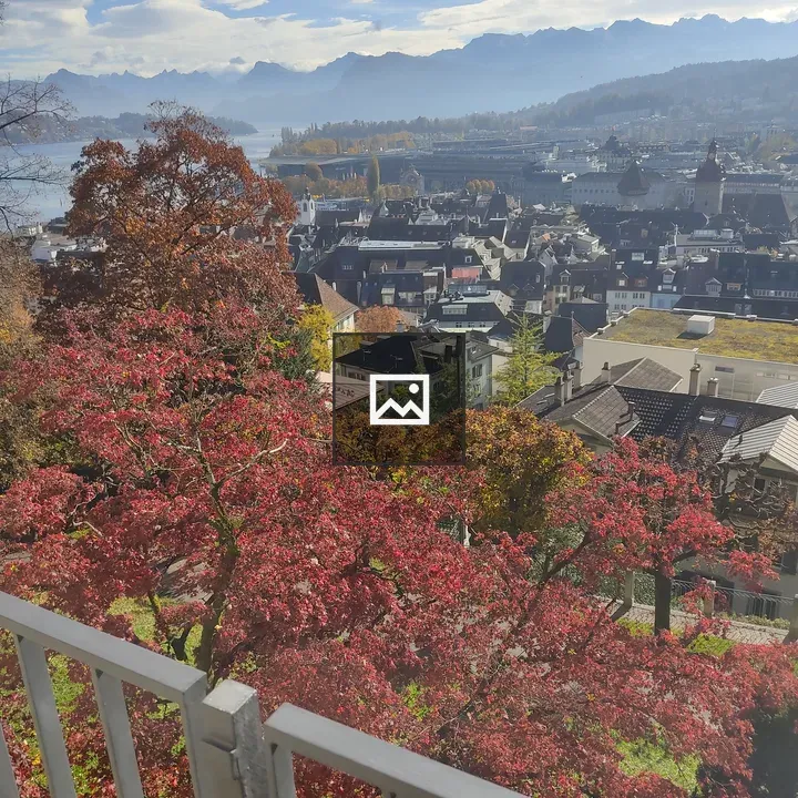 Lucerne Skyline and Lake Scene
