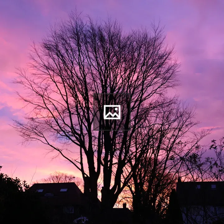 Sunrise Tree Silhouette