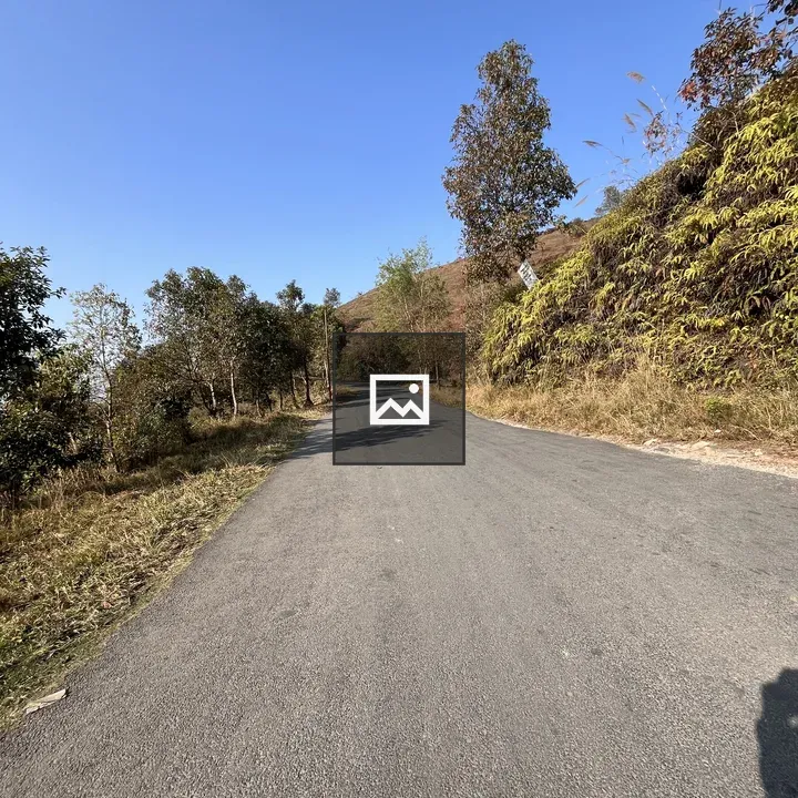 Paved Road Through Rural Landscape