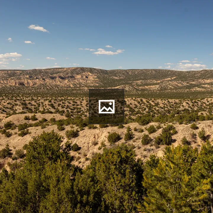 Desert sage plants in New Mexico hills