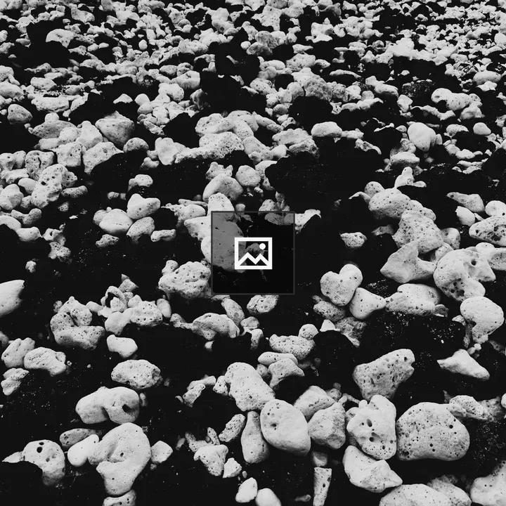 Coral among lava rocks