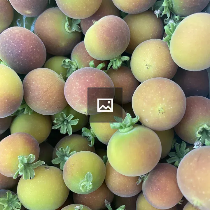 Close-up of unripe fruits
