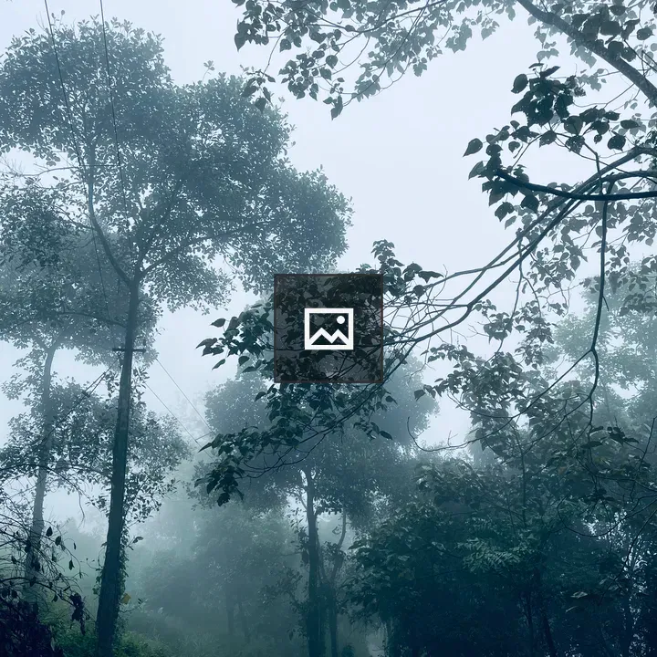 Forest Path in Mist