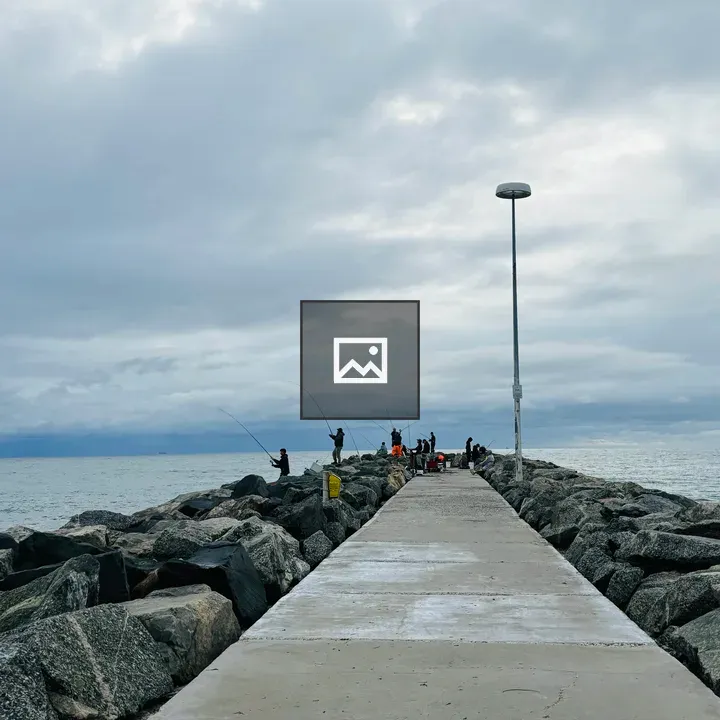 People fishing by the sea
