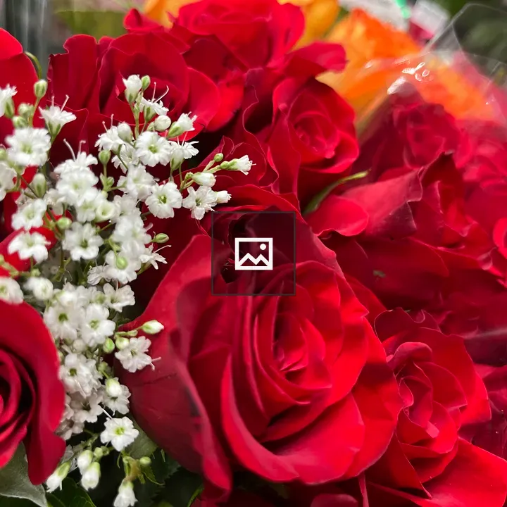Baby's breath bouquet in roses