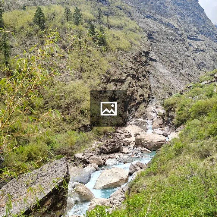 Serene mountain stream