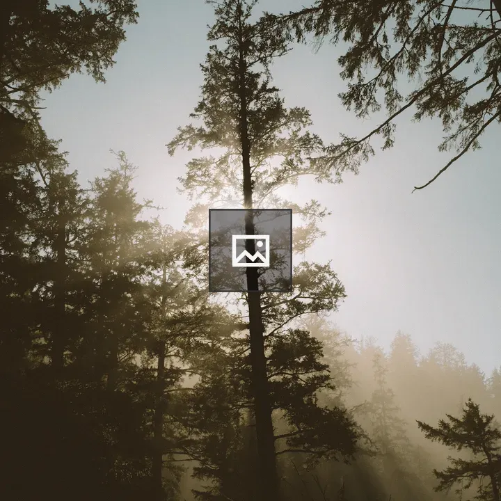 Tree with Sun Rays