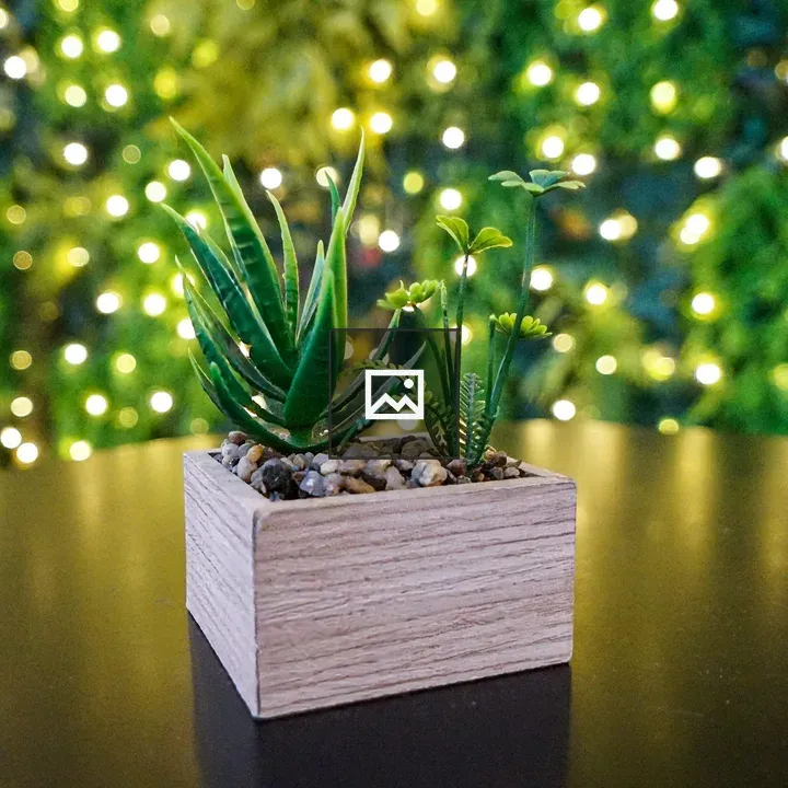 Plastic succulent in wooden pot
