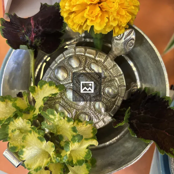 Silver Turtle-Shaped Container
