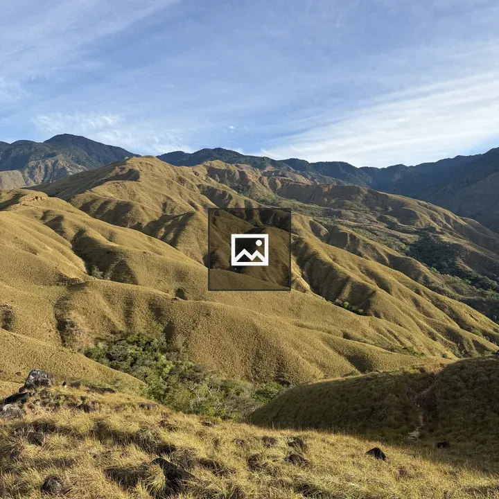 Panoramic Hills with Golden Grass