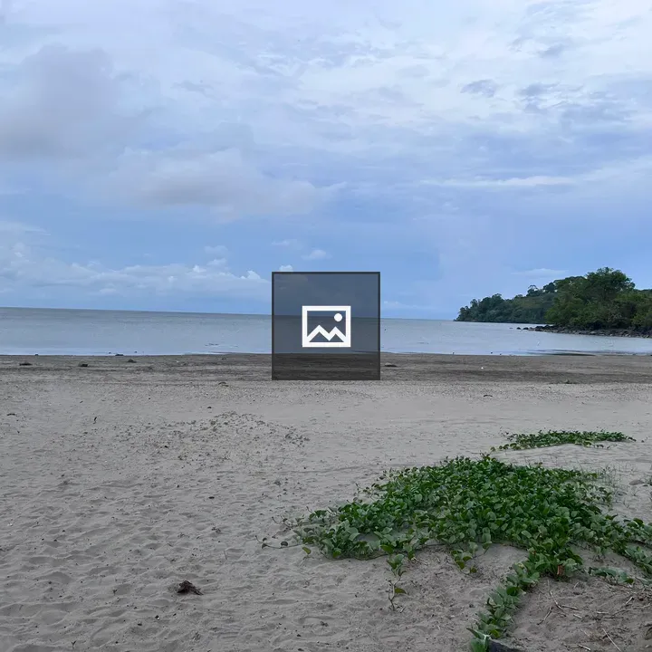 A tranquil beach scene