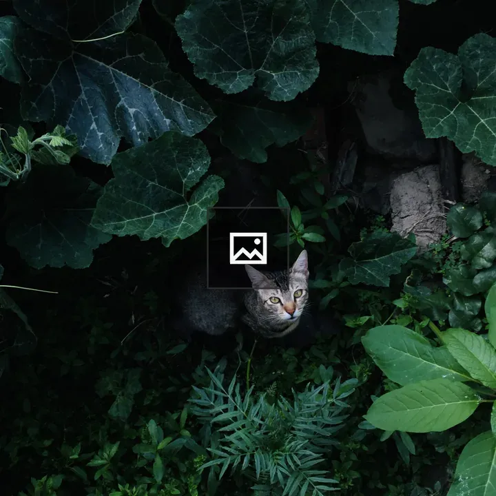 Cat among dense greenery