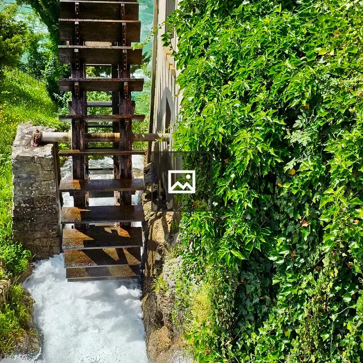 Old wooden water wheel beside ivy walls