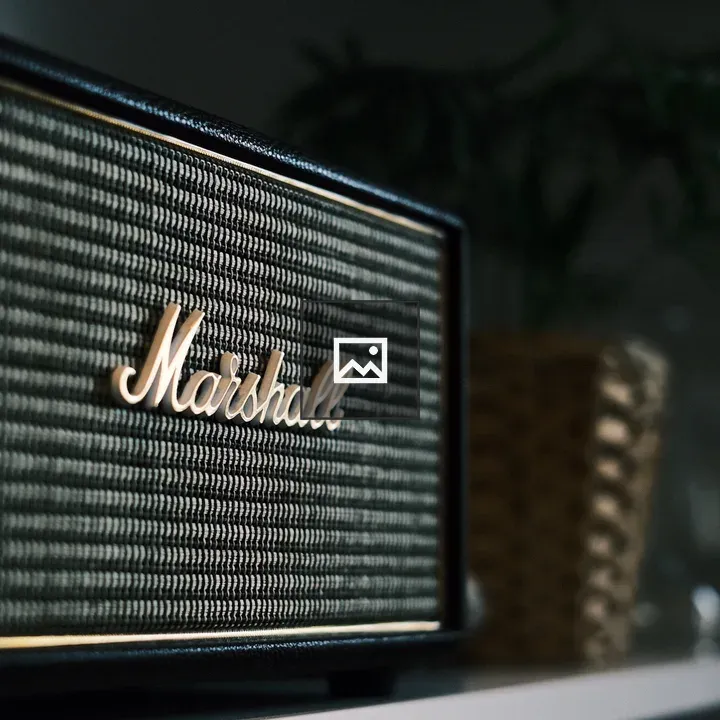 Marshall speaker