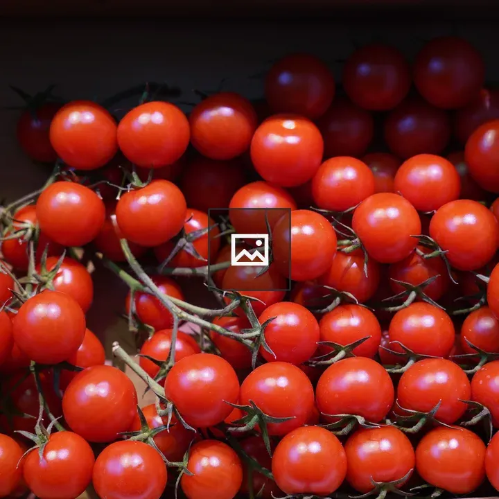 Crate of ripe cherry tomatoes