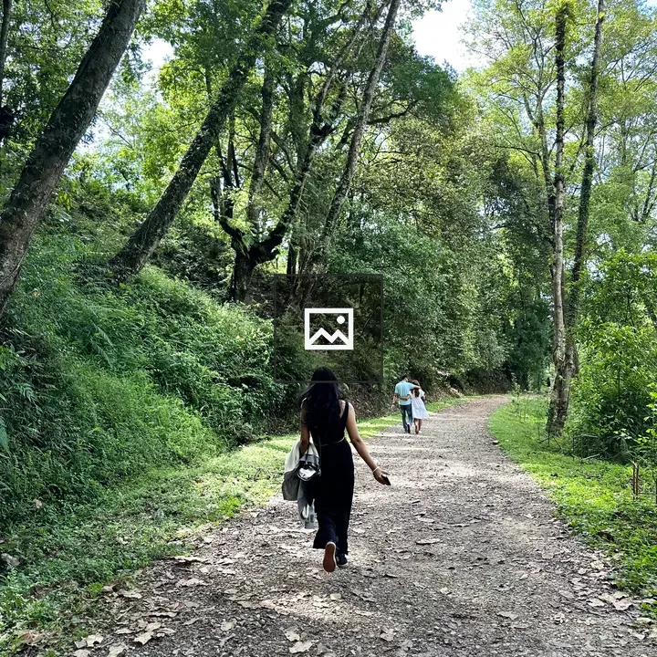 Girl Walking in Park