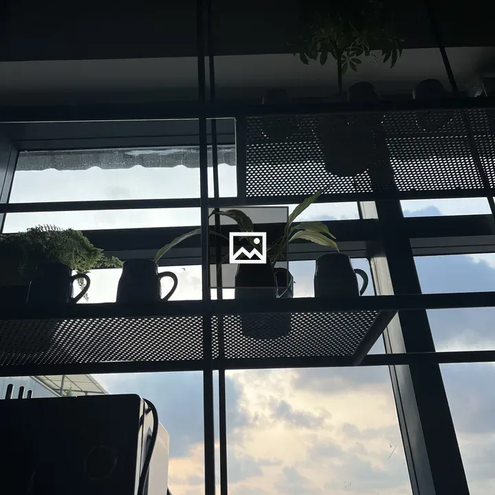 Plants in Pots by Window