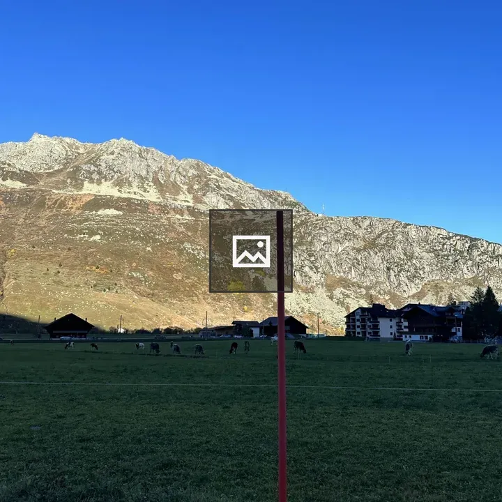Swiss red berry scene