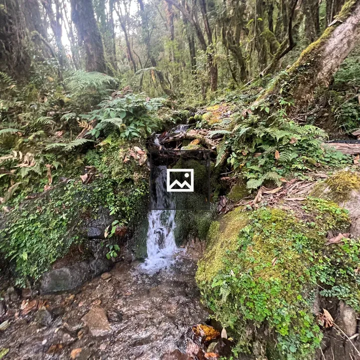 Waterfall on Mossy Rock in Forest