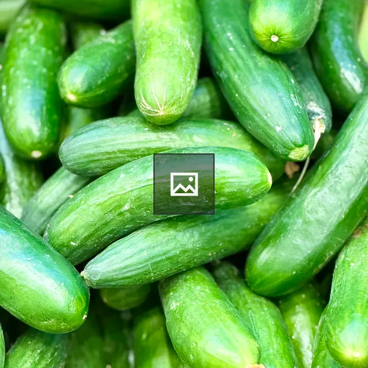Close-up of fresh cucumbers