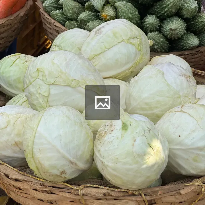 Cabbage in Market Basket