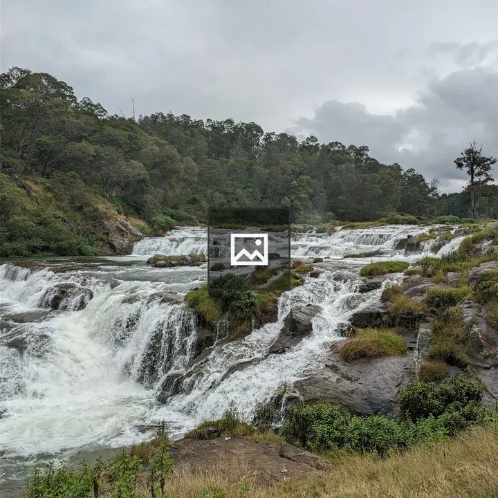 Water flowing over rocks with trees